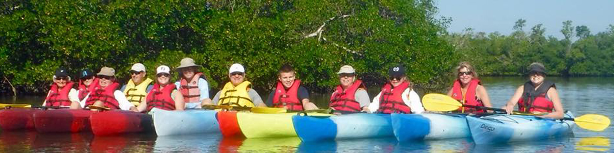 Kayak Tours - Paddling Paradise