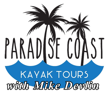 Paradise Coast Kayak Tours Naples Florida